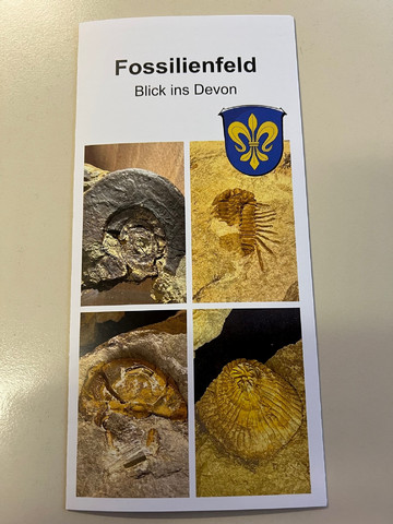 Neuer Flyer zum Fossilienfeld