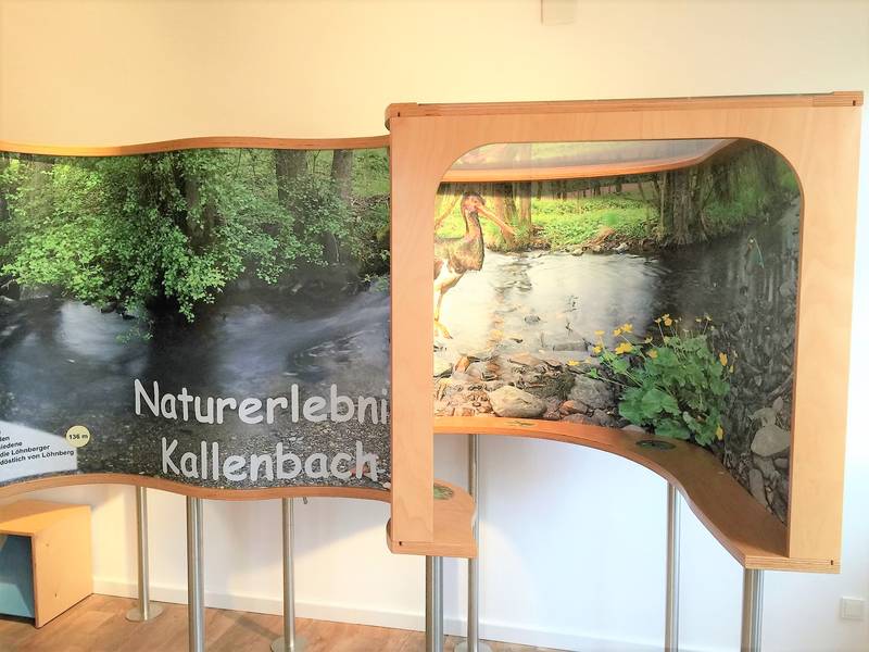 Bild: Naturraum Kallenbach